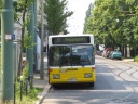 tn_gorlitz-bus-02.jpg