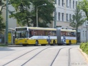 tn_gorlitz-bus-03.jpg