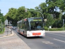 tn_zittau-bus-01.jpg