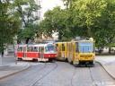 tn_8221,9038-01.jpg