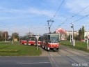 tn_8742+8743-02.jpg