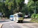 tn_67+81-01.jpg