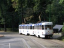 tn_71+68-01.jpg