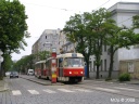 tn_tram-06.jpg