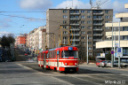 tn_300-5520+5509-b-malovanka-kralovka-cvicka.jpg